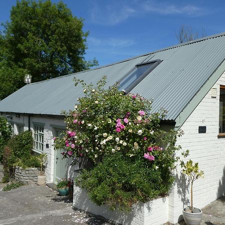 Dundon The Garden Room المظهر الخارجي الصورة